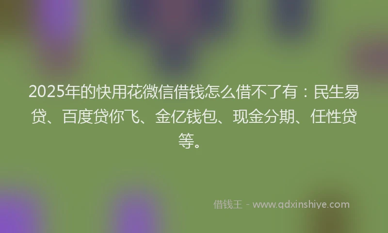 2025年的快用花微信借钱怎么借不了有：民生易贷、百度贷你飞、金亿钱包、现金分期、任性贷等。