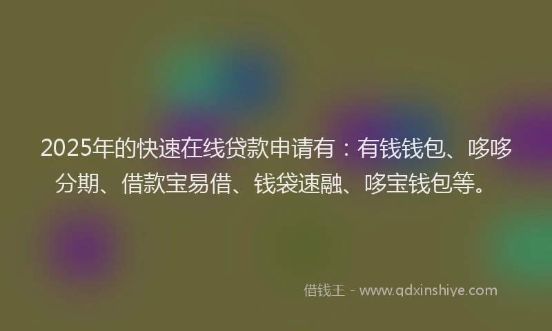 2025年的快速在线贷款申请有：有钱钱包、哆哆分期、借款宝易借、钱袋速融、哆宝钱包等。