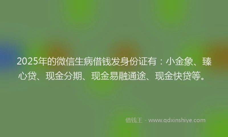 2025年的微信生病借钱发身份证有：小金象、臻心贷、现金分期、现金易融通途、现金快贷等。