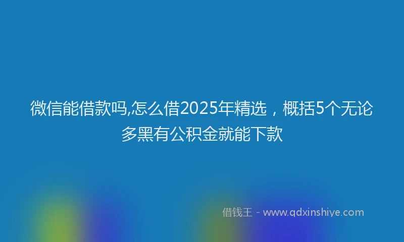 微信能借款吗,怎么借2025年精选，概括5个无论多黑有公积金就能下款