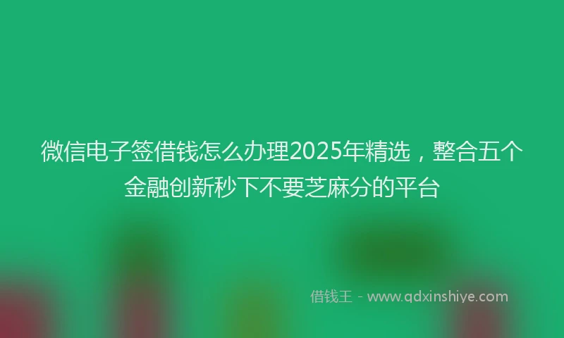微信电子签借钱怎么办理2025年精选，整合五个金融创新秒下不要芝麻分的平台