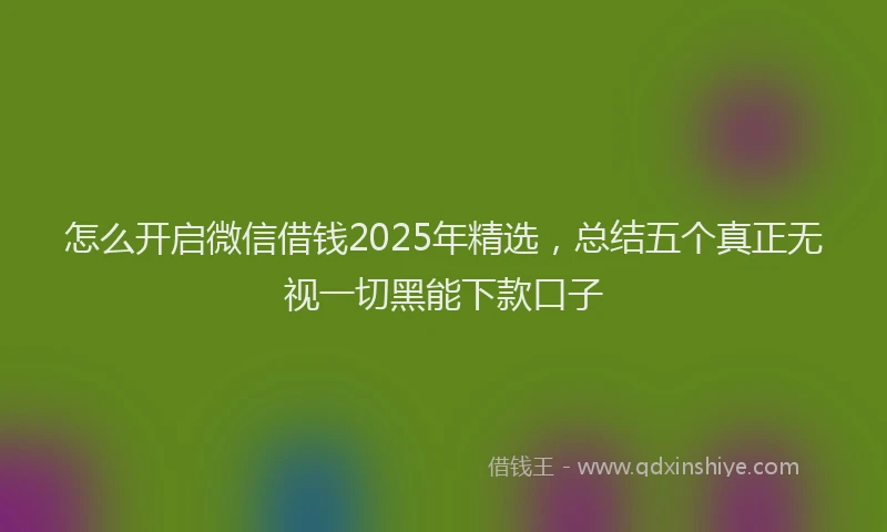 怎么开启微信借钱2025年精选，总结五个真正无视一切黑能下款口子