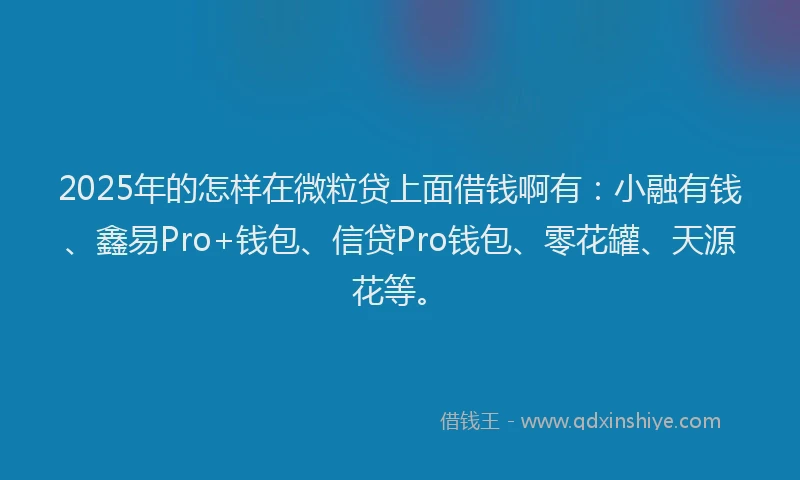 2025年的怎样在微粒贷上面借钱啊有：小融有钱、鑫易Pro+钱包、信贷Pro钱包、零花罐、天源花等。