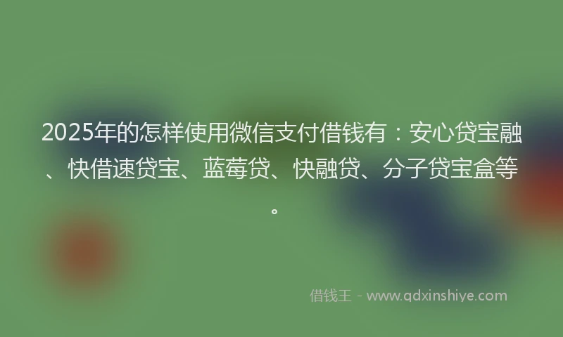 2025年的怎样使用微信支付借钱有：安心贷宝融、快借速贷宝、蓝莓贷、快融贷、分子贷宝盒等。