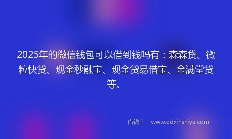 2025年的微信钱包可以借到钱吗有：森森贷、微粒快贷、现金秒融宝、现金贷易借宝、金满堂贷等。