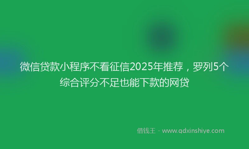 微信贷款小程序不看征信2025年推荐，罗列5个综合评分不足也能下款的网贷