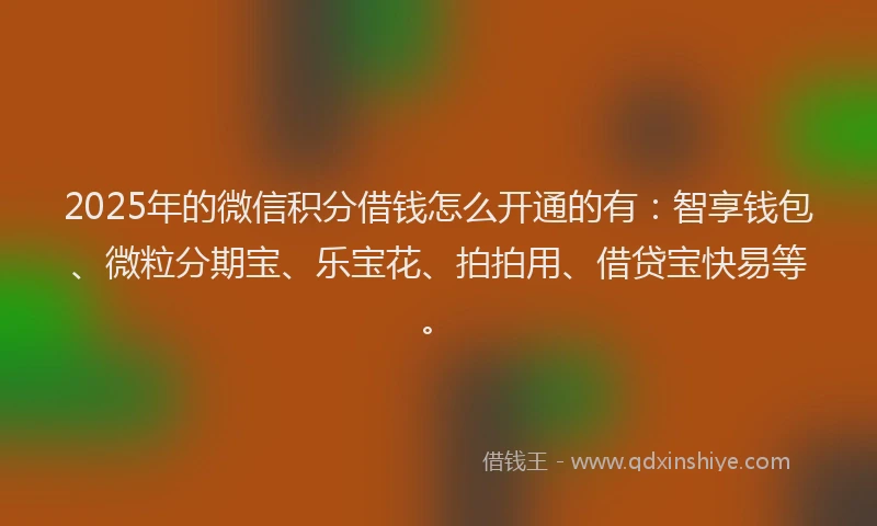 2025年的微信积分借钱怎么开通的有：智享钱包、微粒分期宝、乐宝花、拍拍用、借贷宝快易等。