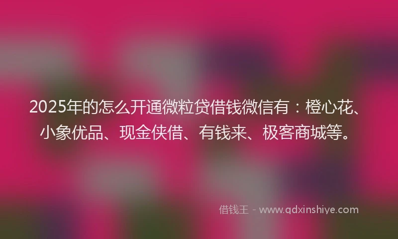 2025年的怎么开通微粒贷借钱微信有：橙心花、小象优品、现金侠借、有钱来、极客商城等。