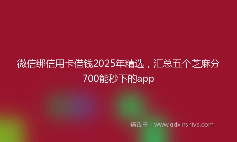 微信绑信用卡借钱2025年精选，汇总五个芝麻分700能秒下的app