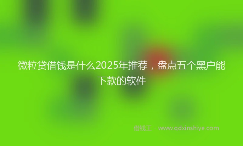 微粒贷借钱是什么2025年推荐，盘点五个黑户能下款的软件