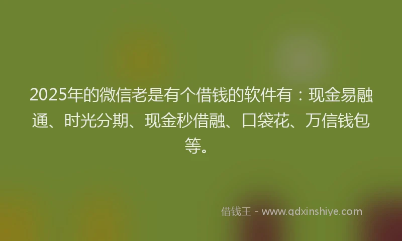 2025年的微信老是有个借钱的软件有：现金易融通、时光分期、现金秒借融、口袋花、万信钱包等。