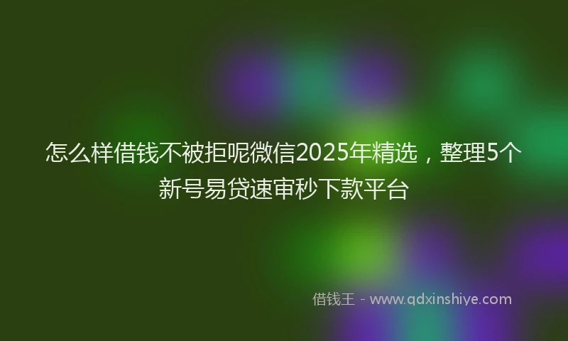 怎么样借钱不被拒呢微信2025年精选，整理5个新号易贷速审秒下款平台