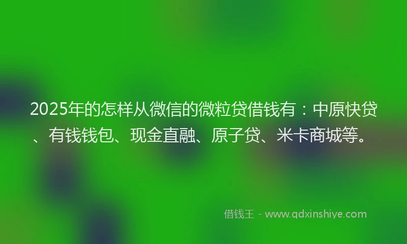 2025年的怎样从微信的微粒贷借钱有：中原快贷、有钱钱包、现金直融、原子贷、米卡商城等。