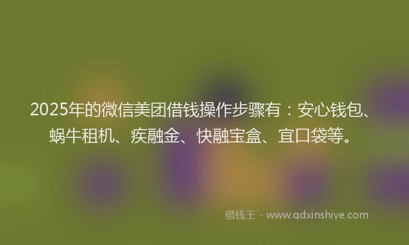 2025年的微信美团借钱操作步骤有：安心钱包、蜗牛租机、疾融金、快融宝盒、宜口袋等。