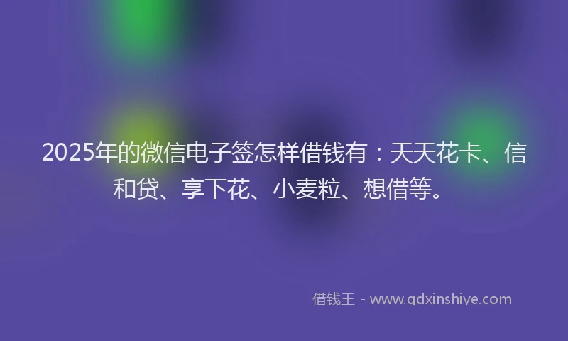 2025年的微信电子签怎样借钱有：天天花卡、信和贷、享下花、小麦粒、想借等。