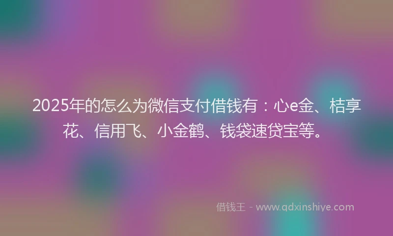 2025年的怎么为微信支付借钱有：心e金、桔享花、信用飞、小金鹤、钱袋速贷宝等。