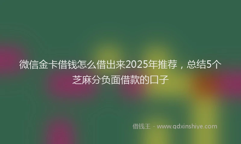 微信金卡借钱怎么借出来2025年推荐，总结5个芝麻分负面借款的口子