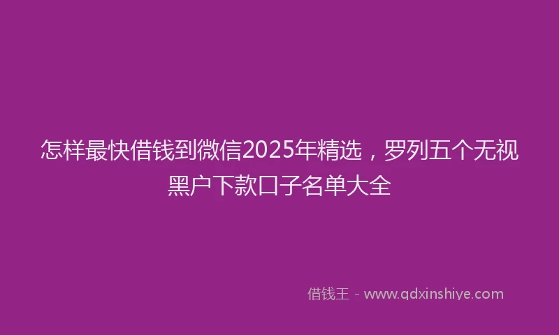 怎样最快借钱到微信2025年精选，罗列五个无视黑户下款口子名单大全
