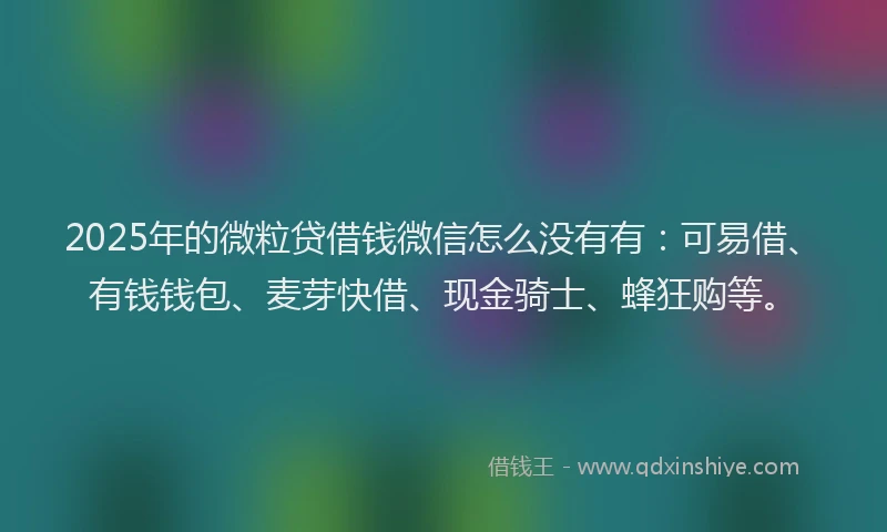 2025年的微粒贷借钱微信怎么没有有：可易借、有钱钱包、麦芽快借、现金骑士、蜂狂购等。