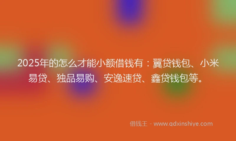 2025年的怎么才能小额借钱有：翼贷钱包、小米易贷、独品易购、安逸速贷、鑫贷钱包等。