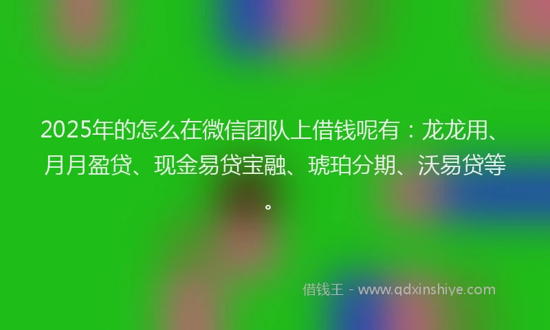 2025年的怎么在微信团队上借钱呢有：龙龙用、月月盈贷、现金易贷宝融、琥珀分期、沃易贷等。