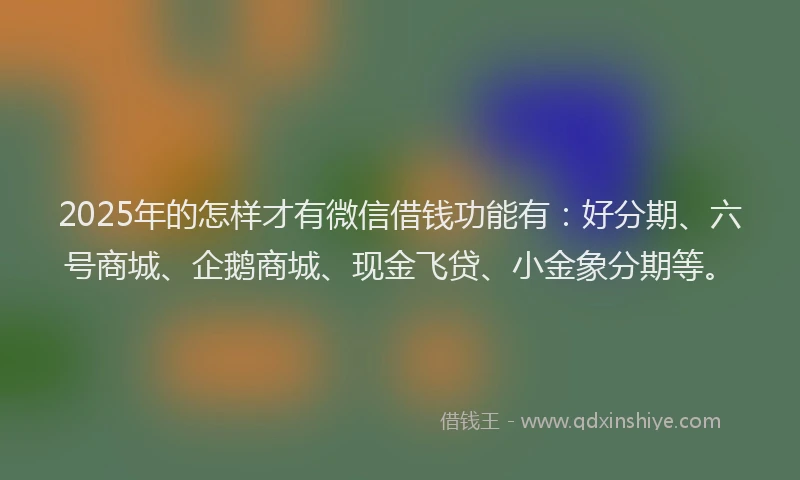 2025年的怎样才有微信借钱功能有：好分期、六号商城、企鹅商城、现金飞贷、小金象分期等。