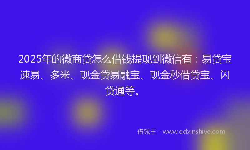 2025年的微商贷怎么借钱提现到微信有：易贷宝速易、多米、现金贷易融宝、现金秒借贷宝、闪贷通等。