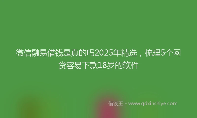 微信融易借钱是真的吗2025年精选，梳理5个网贷容易下款18岁的软件