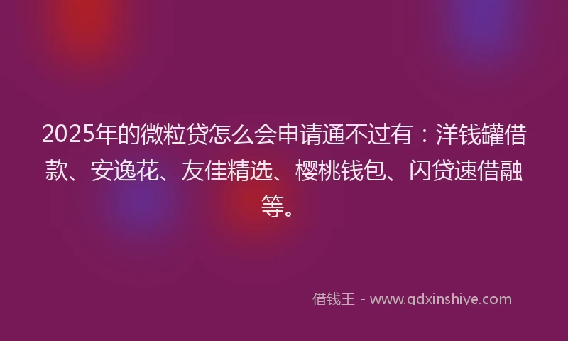 2025年的微粒贷怎么会申请通不过有：洋钱罐借款、安逸花、友佳精选、樱桃钱包、闪贷速借融等。