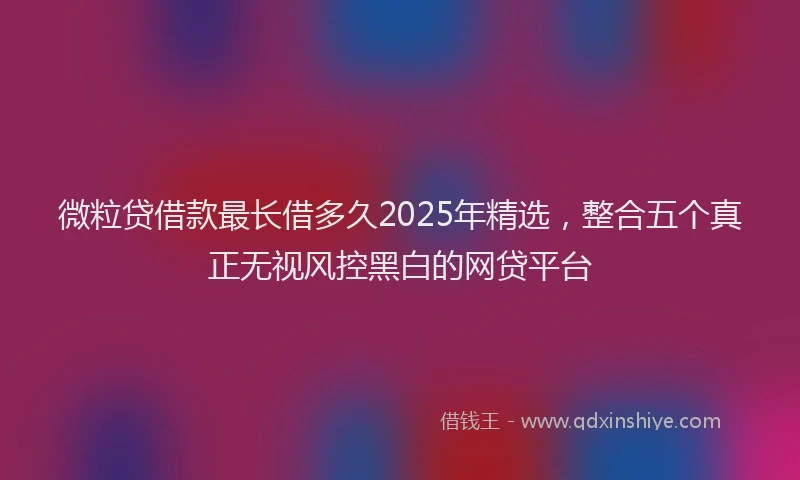 微粒贷借款最长借多久2025年精选，整合五个真正无视风控黑白的网贷平台
