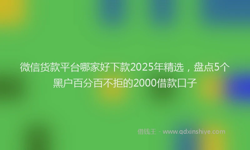 微信货款平台哪家好下款2025年精选，盘点5个黑户百分百不拒的2000借款口子