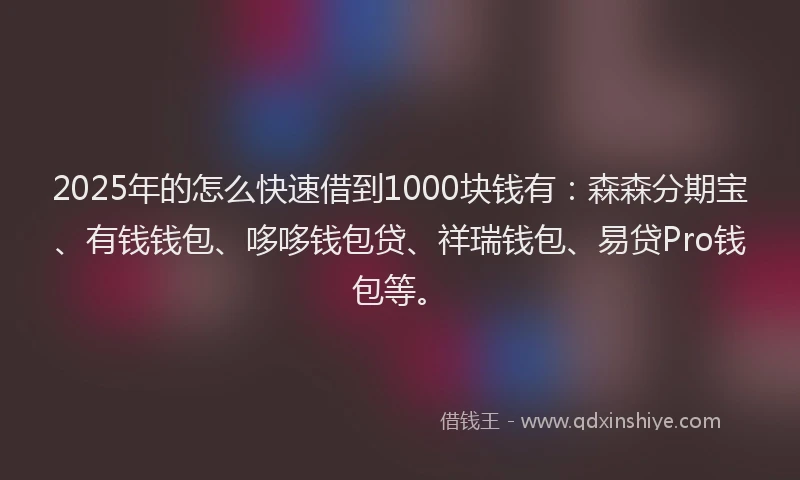 2025年的怎么快速借到1000块钱有：森森分期宝、有钱钱包、哆哆钱包贷、祥瑞钱包、易贷Pro钱包等。