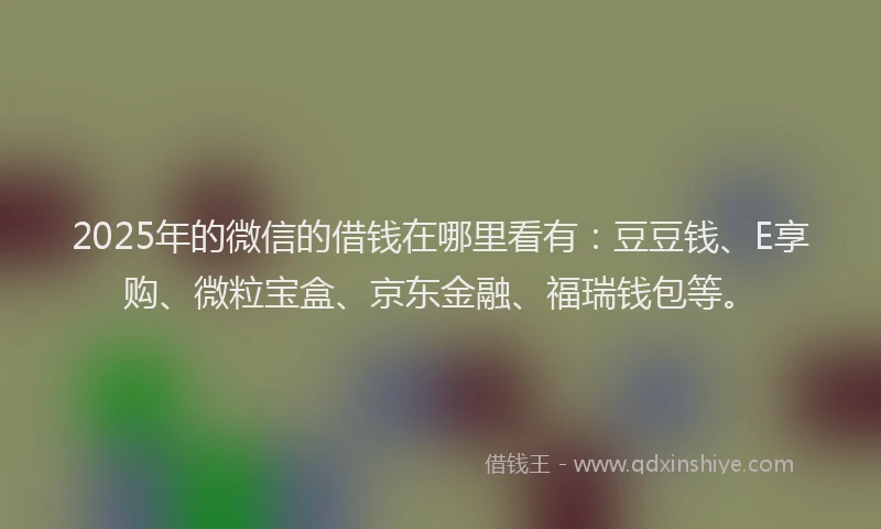 2025年的微信的借钱在哪里看有：豆豆钱、E享购、微粒宝盒、京东金融、福瑞钱包等。