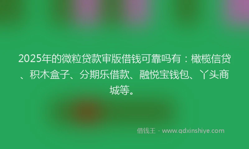 2025年的微粒贷款审版借钱可靠吗有：橄榄信贷、积木盒子、分期乐借款、融悦宝钱包、丫头商城等。