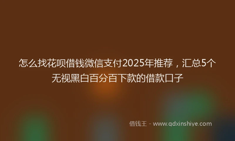 怎么找花呗借钱微信支付2025年推荐，汇总5个无视黑白百分百下款的借款口子