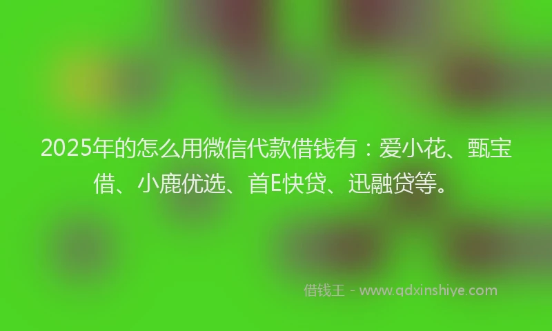 2025年的怎么用微信代款借钱有：爱小花、甄宝借、小鹿优选、首E快贷、迅融贷等。