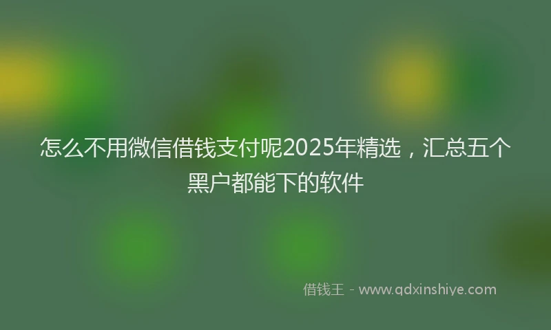 怎么不用微信借钱支付呢2025年精选，汇总五个黑户都能下的软件