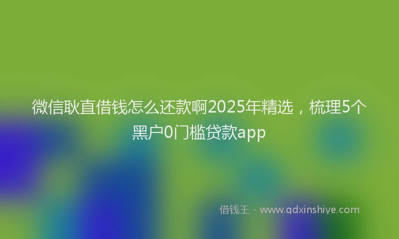 微信耿直借钱怎么还款啊2025年精选，梳理5个黑户0门槛贷款app