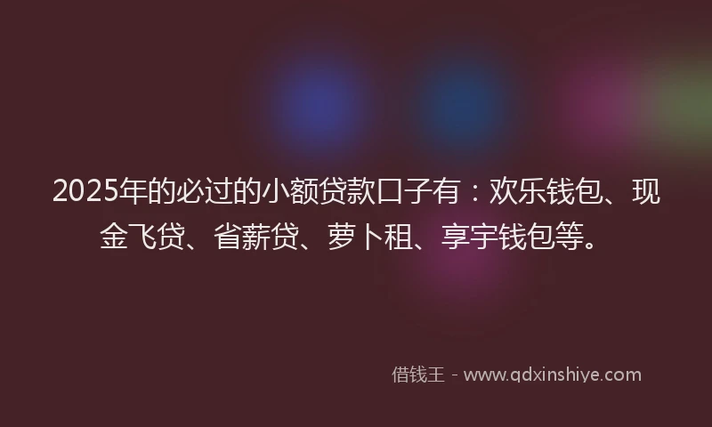 2025年的必过的小额贷款口子有：欢乐钱包、现金飞贷、省薪贷、萝卜租、享宇钱包等。