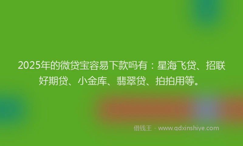 2025年的微贷宝容易下款吗有：星海飞贷、招联好期贷、小金库、翡翠贷、拍拍用等。