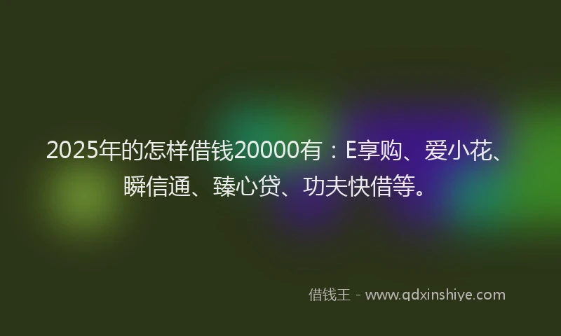 2025年的怎样借钱20000有：E享购、爱小花、瞬信通、臻心贷、功夫快借等。