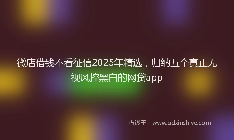 微店借钱不看征信2025年精选，归纳五个真正无视风控黑白的网贷app
