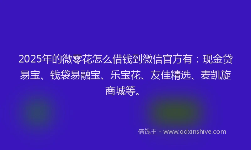 2025年的微零花怎么借钱到微信官方有：现金贷易宝、钱袋易融宝、乐宝花、友佳精选、麦凯旋商城等。