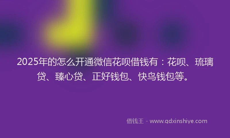 2025年的怎么开通微信花呗借钱有：花呗、琉璃贷、臻心贷、正好钱包、快鸟钱包等。