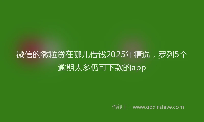 微信的微粒贷在哪儿借钱2025年精选，罗列5个逾期太多仍可下款的app