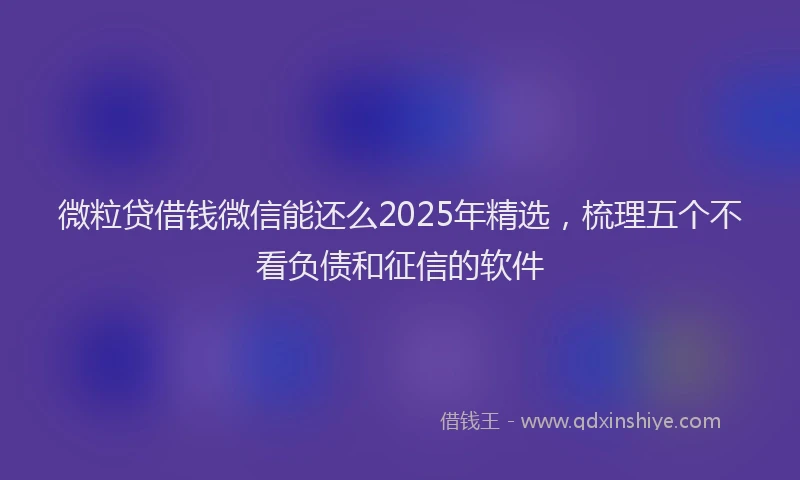 微粒贷借钱微信能还么2025年精选，梳理五个不看负债和征信的软件