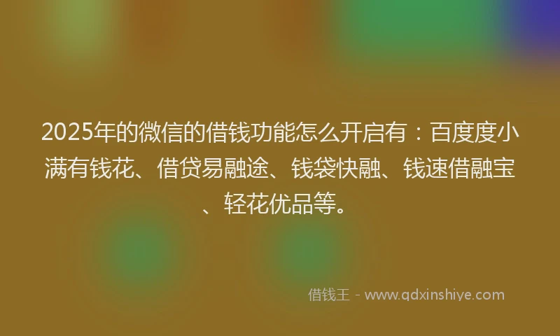 2025年的微信的借钱功能怎么开启有：百度度小满有钱花、借贷易融途、钱袋快融、钱速借融宝、轻花优品等。
