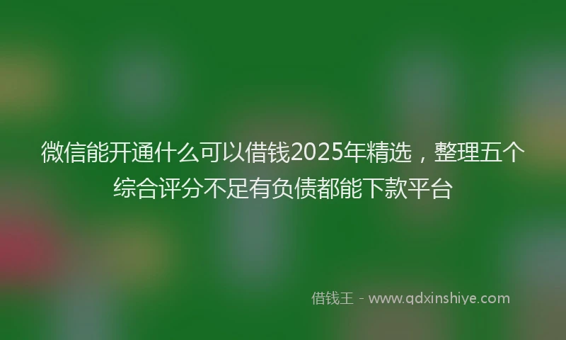 微信能开通什么可以借钱2025年精选，整理五个综合评分不足有负债都能下款平台