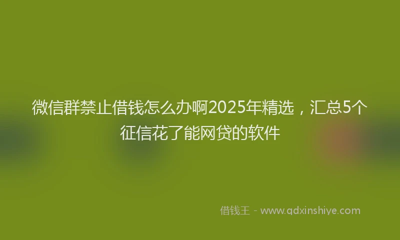 微信群禁止借钱怎么办啊2025年精选，汇总5个征信花了能网贷的软件