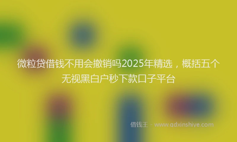 微粒贷借钱不用会撤销吗2025年精选，概括五个无视黑白户秒下款口子平台